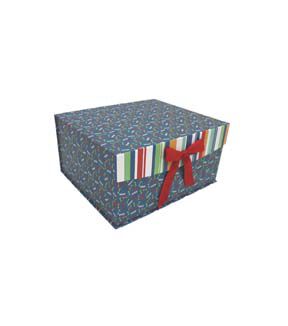 12 Dog Prints on Blue Flip Top Box With Bow by Place   Time