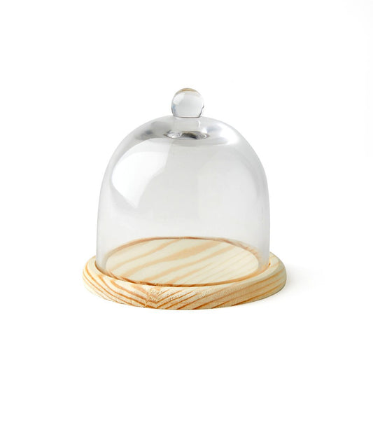 5 Dome Handle Top Glass Terrarium by Park Lane