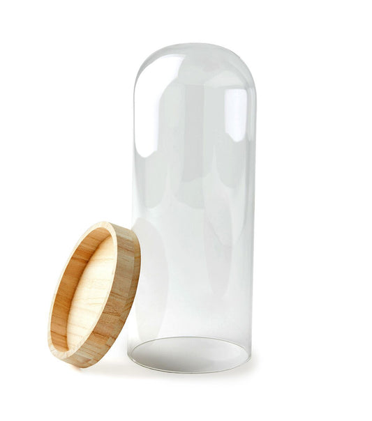 12.5 Dome Top Glass Terrarium by Park Lane