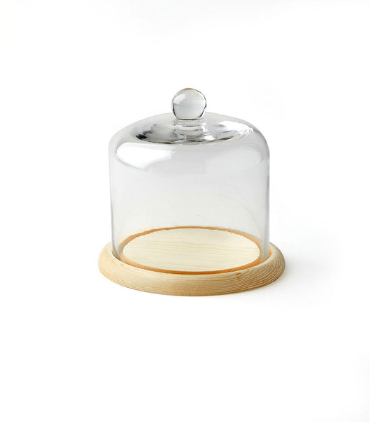 5 Handle Top Glass Terrarium by Park Lane