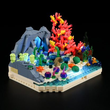Turtle Reef Dream