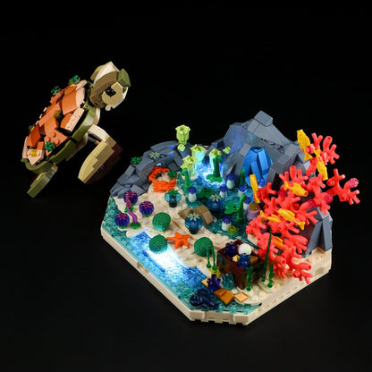 Turtle Reef Dream