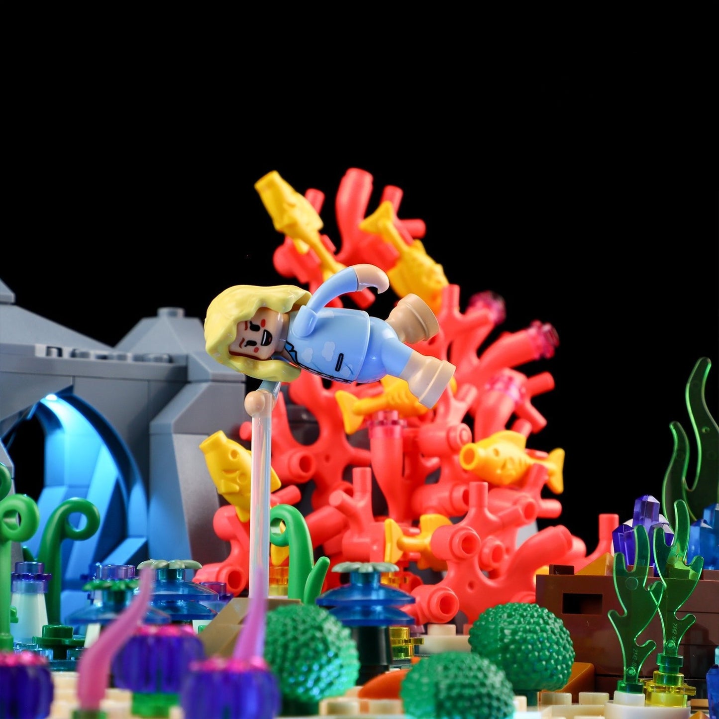 Turtle Reef Dream