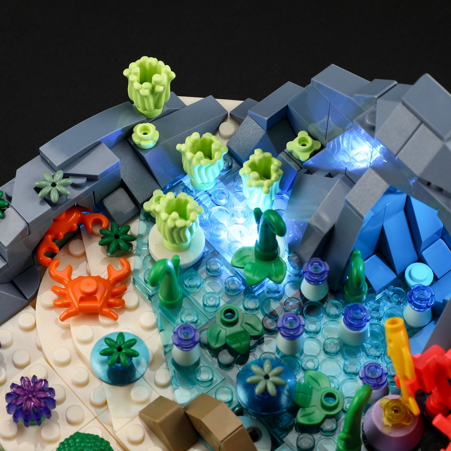 Turtle Reef Dream