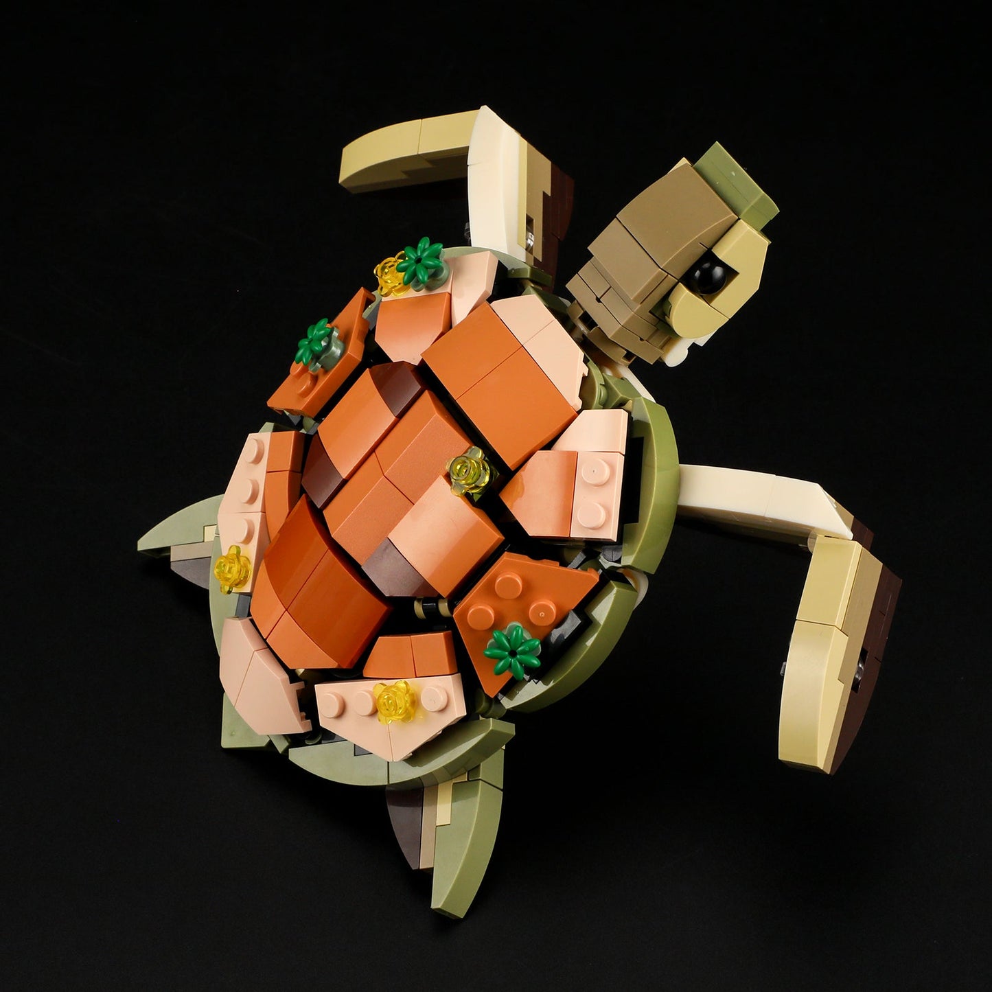 Turtle Reef Dream